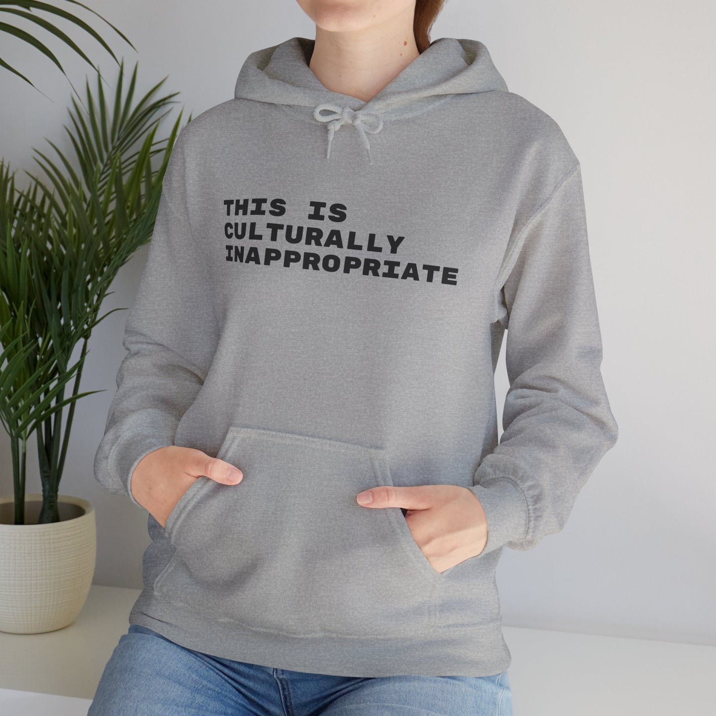 This Is Culturally Inappropriate Statement Hoodie