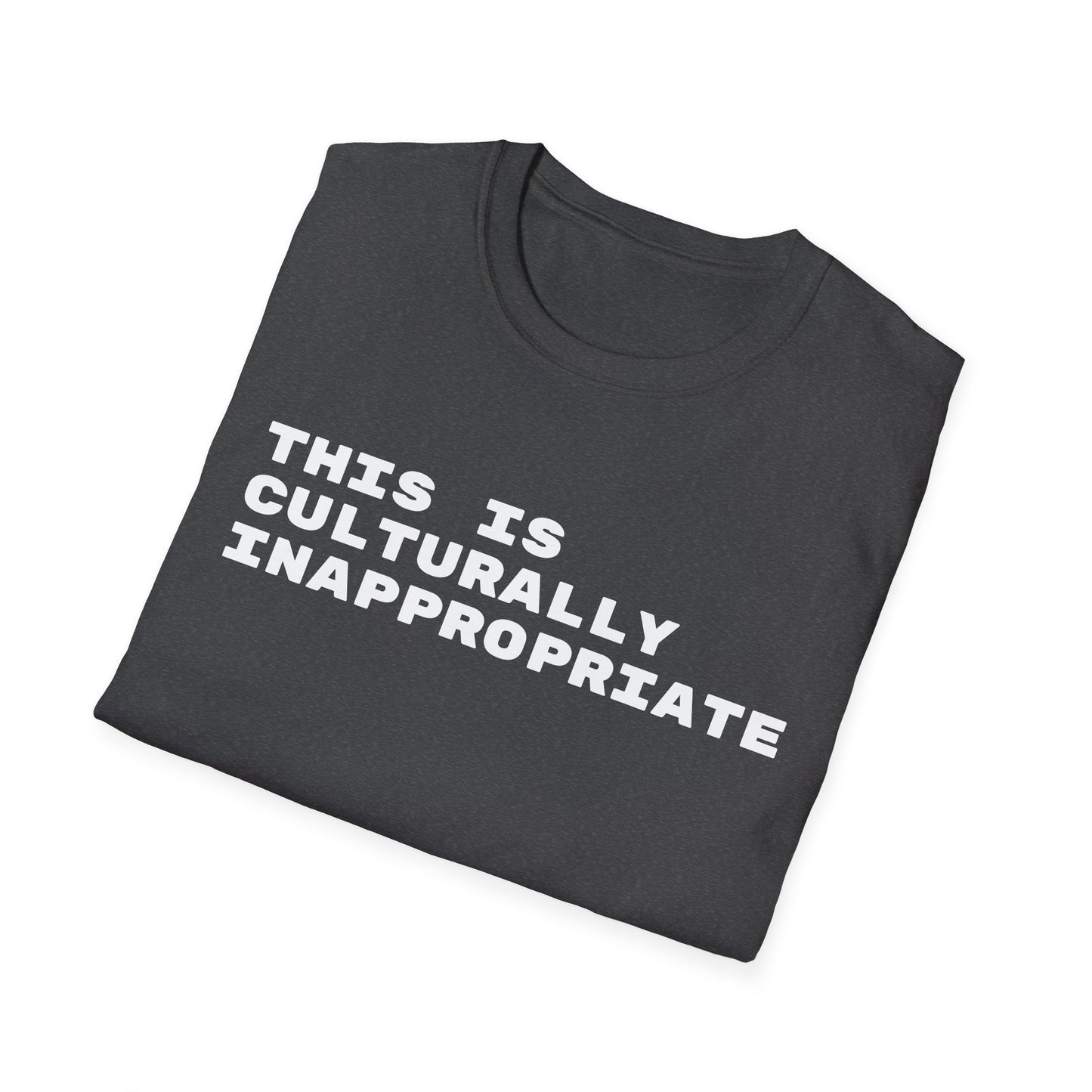 This Is Culturally Inappropriate Statement T-Shirt