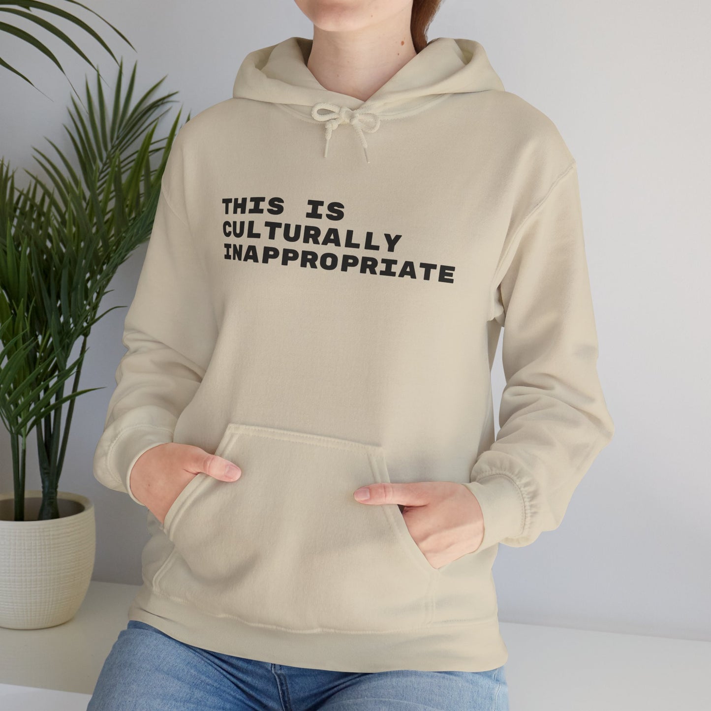This Is Culturally Inappropriate Statement Hoodie