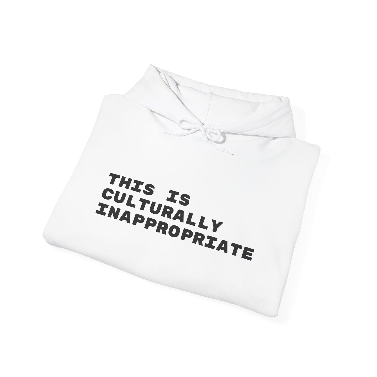 This Is Culturally Inappropriate Statement Hoodie