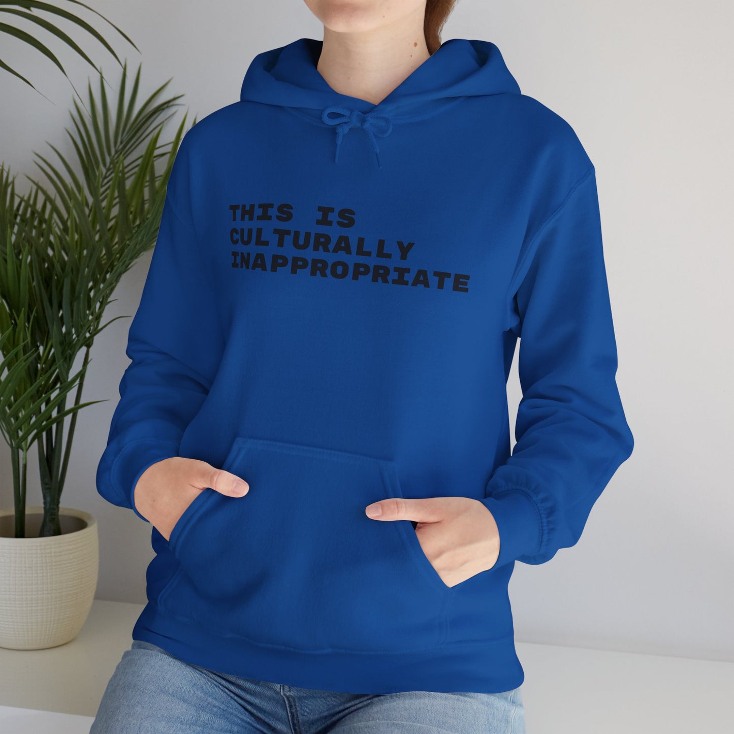 This Is Culturally Inappropriate Statement Hoodie