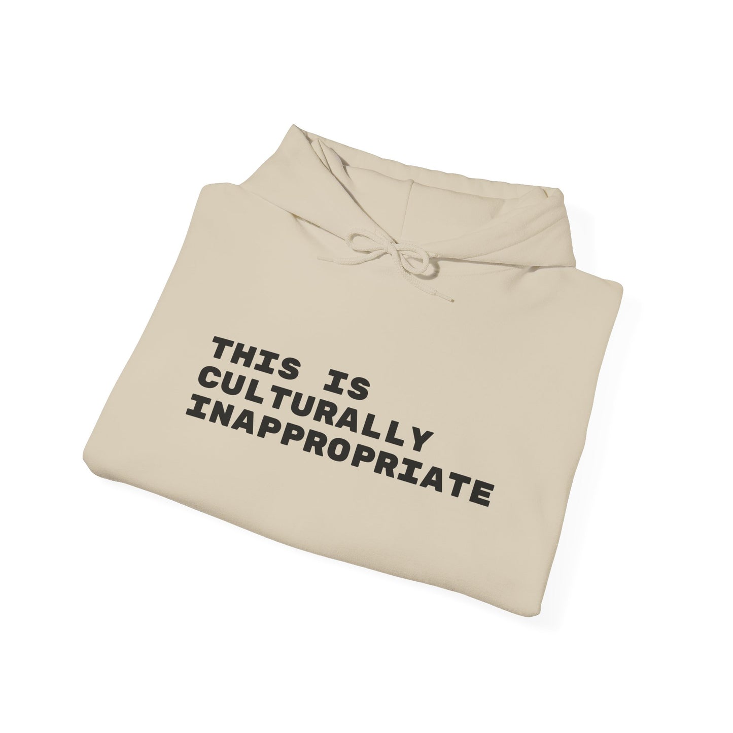 This Is Culturally Inappropriate Statement Hoodie