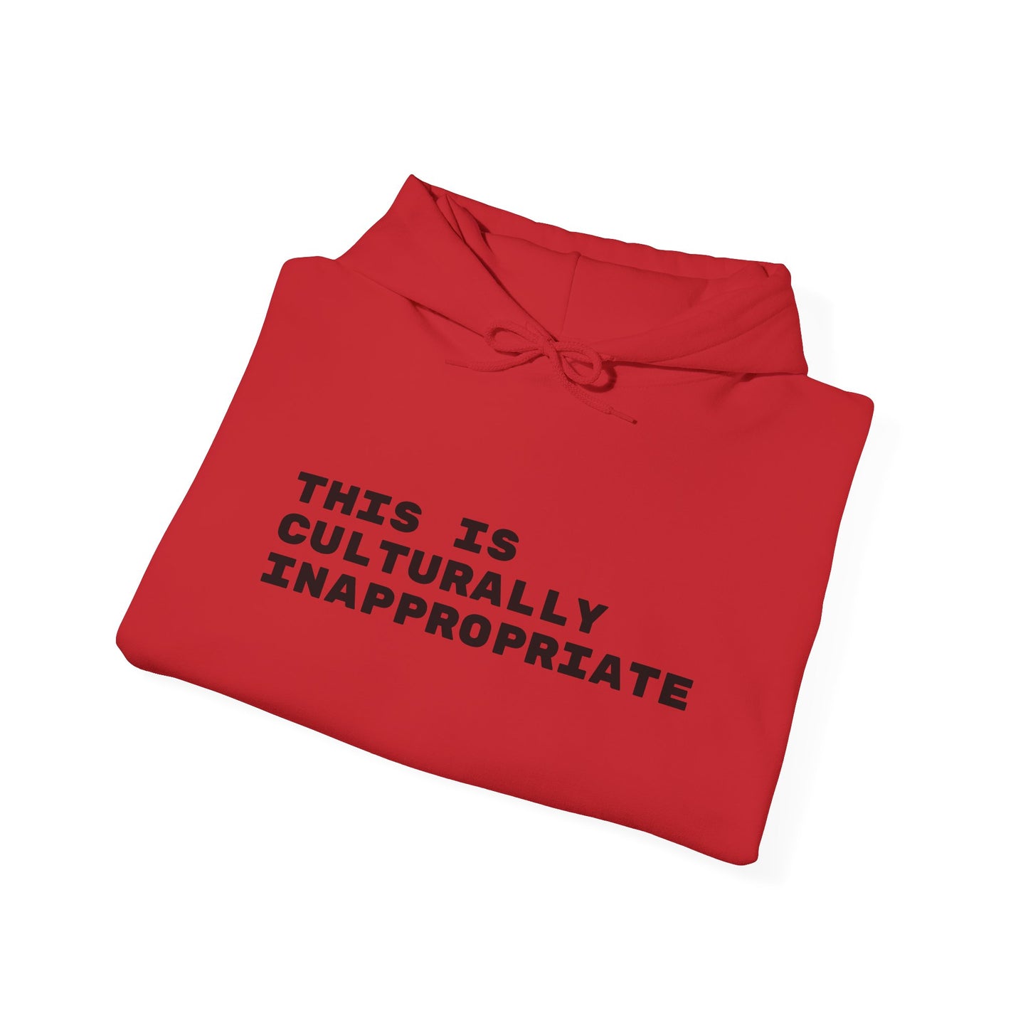 This Is Culturally Inappropriate Statement Hoodie