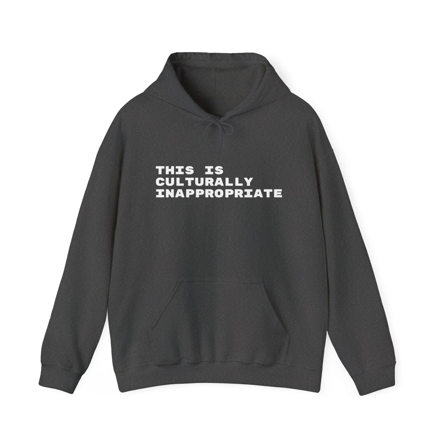 This Is Culturally Inappropriate Hoodie Statement Hoodie