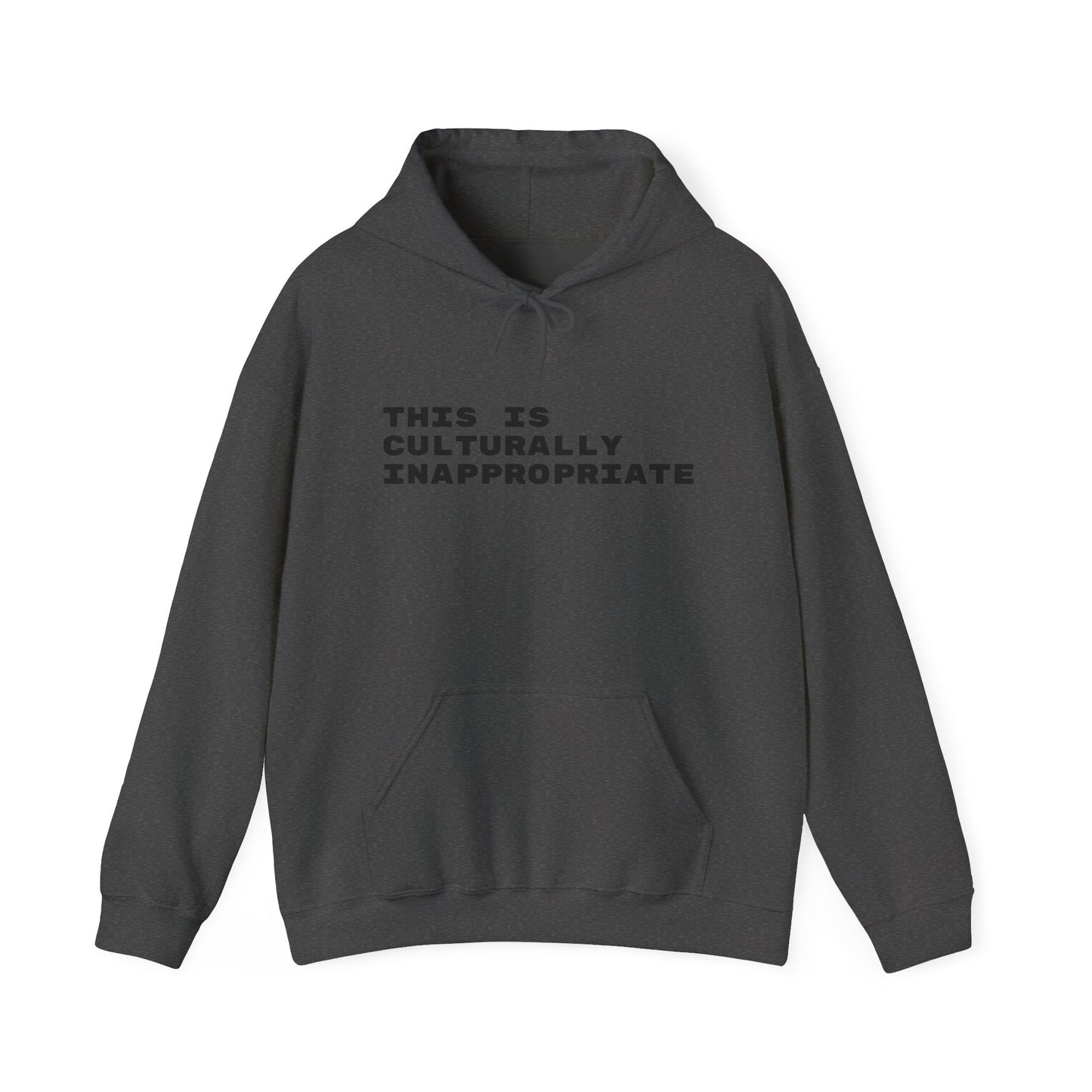 This Is Culturally Inappropriate Statement Hoodie