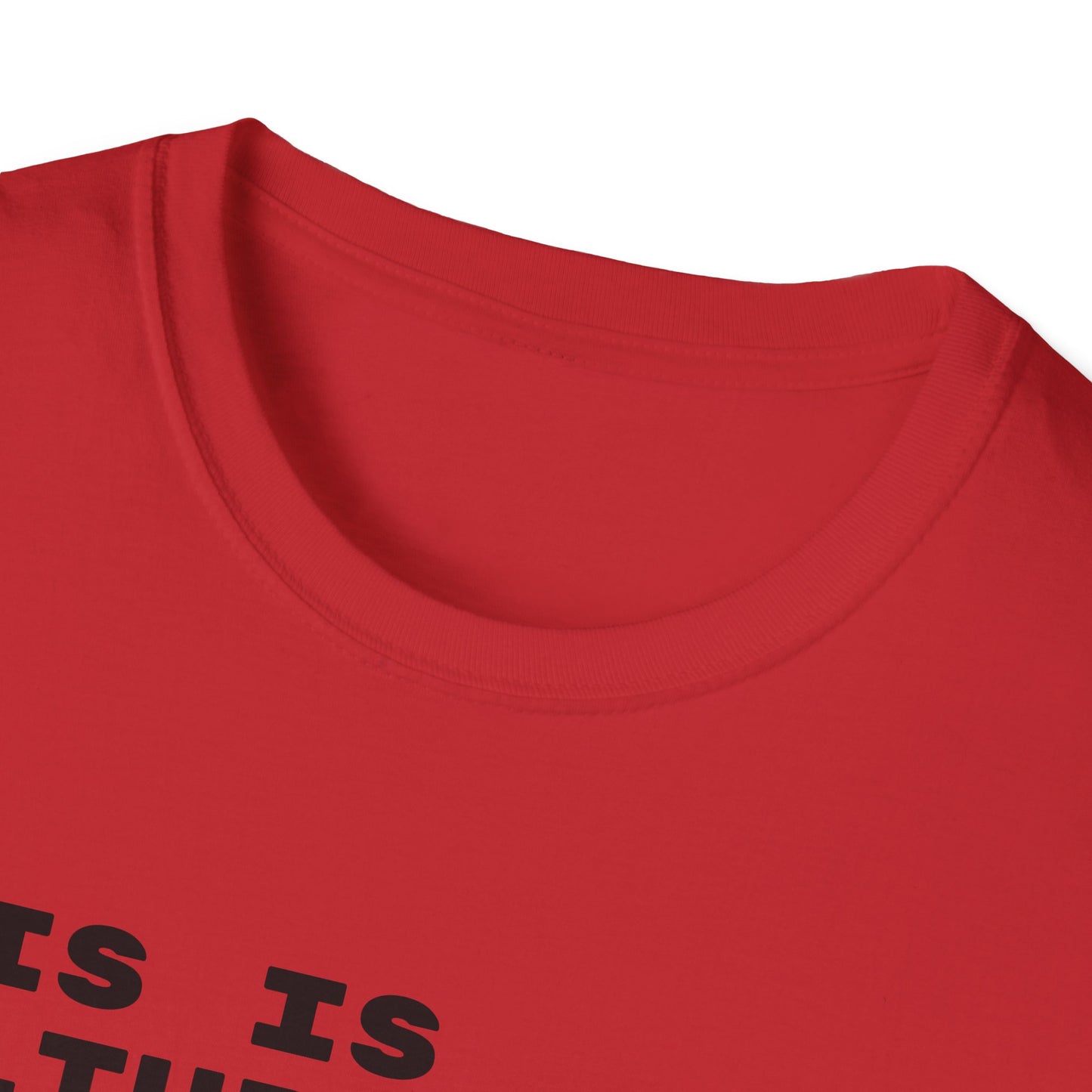 This Is Culturally Inappropriate Statement T-Shirt