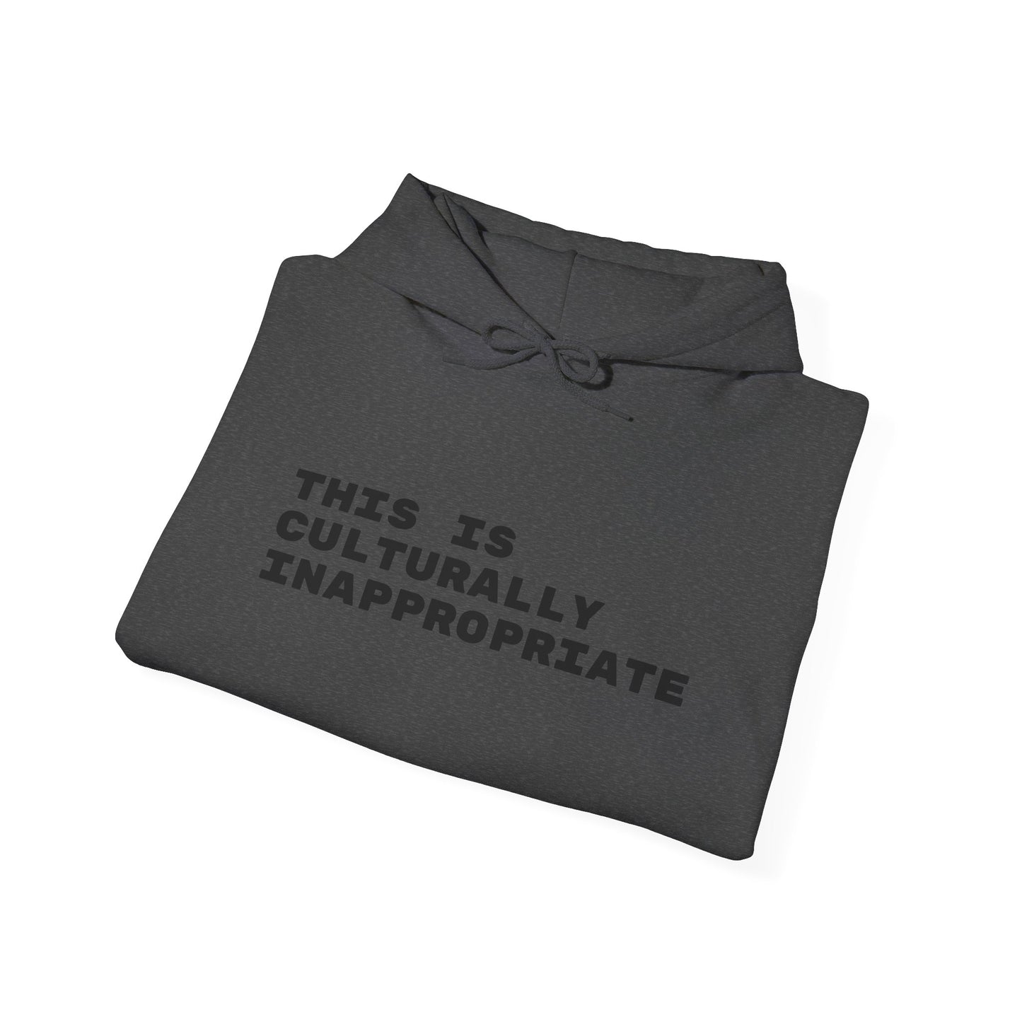 This Is Culturally Inappropriate Statement Hoodie