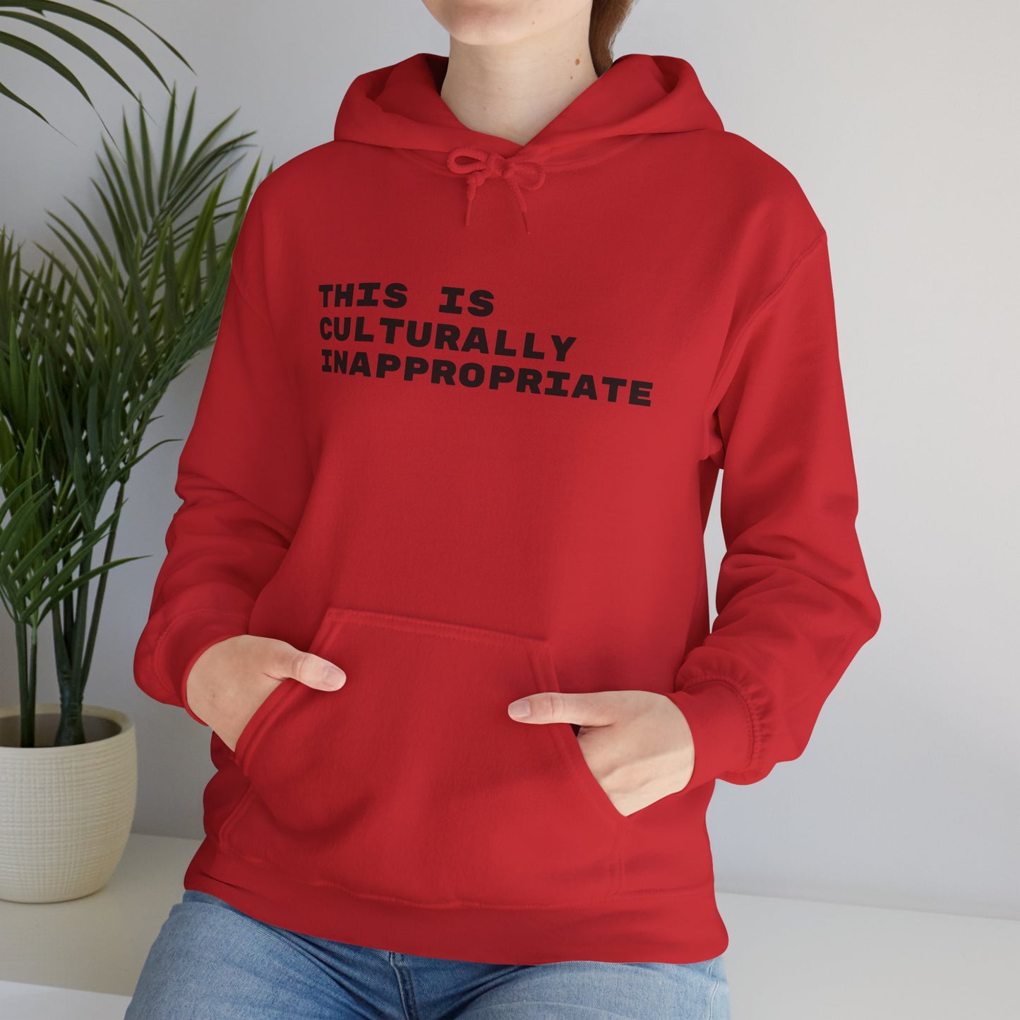 This Is Culturally Inappropriate Statement Hoodie