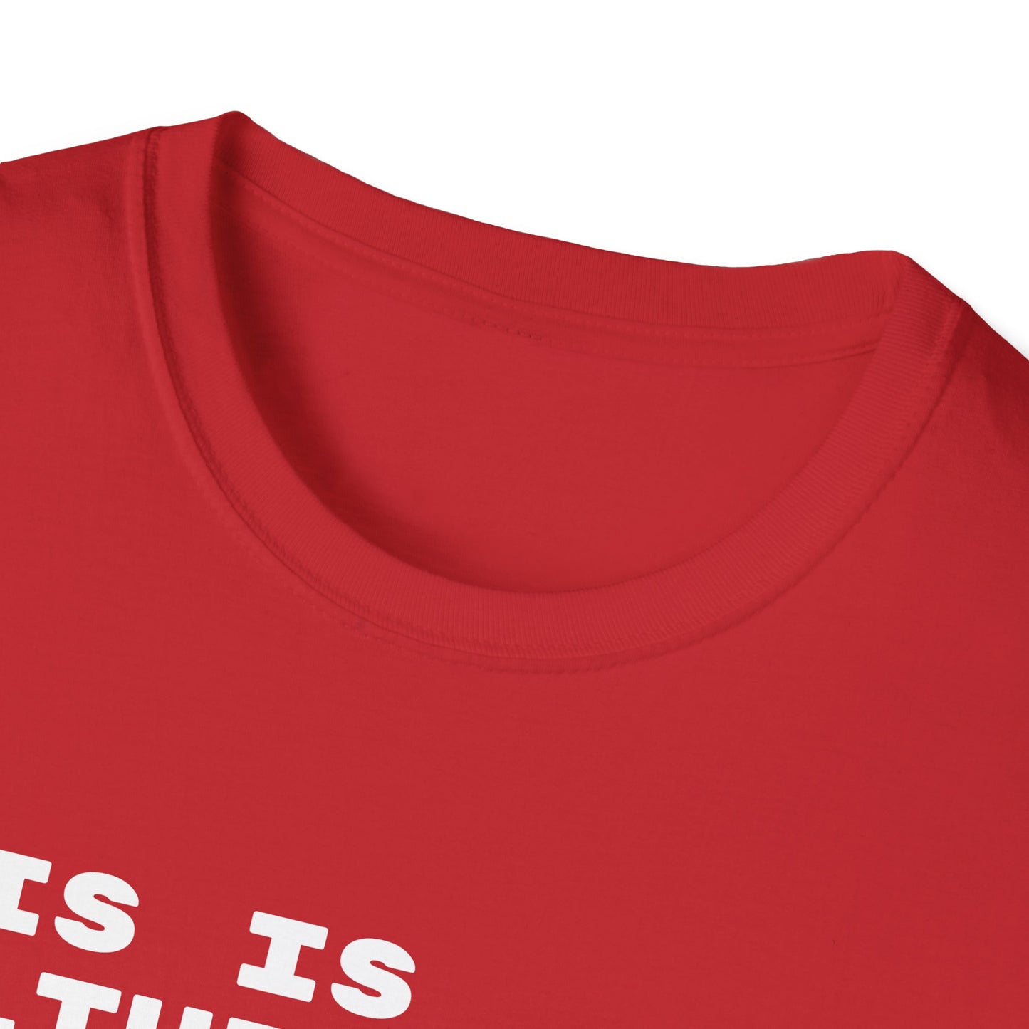 This Is Culturally Inappropriate Statement T-Shirt
