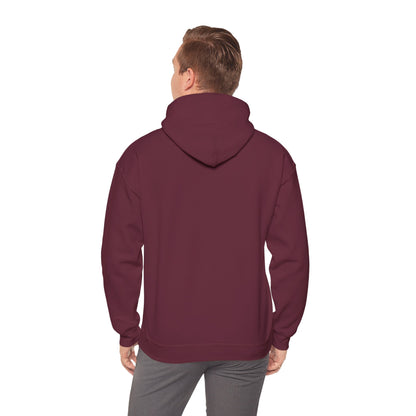 This Is Culturally Inappropriate Hoodie Statement Hoodie