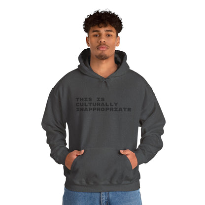 This Is Culturally Inappropriate Statement Hoodie