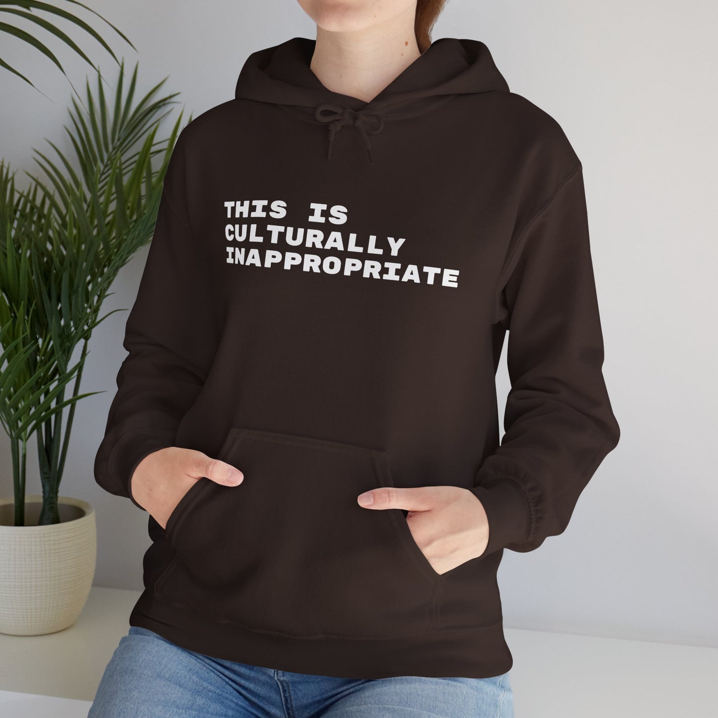 This Is Culturally Inappropriate Hoodie Statement Hoodie