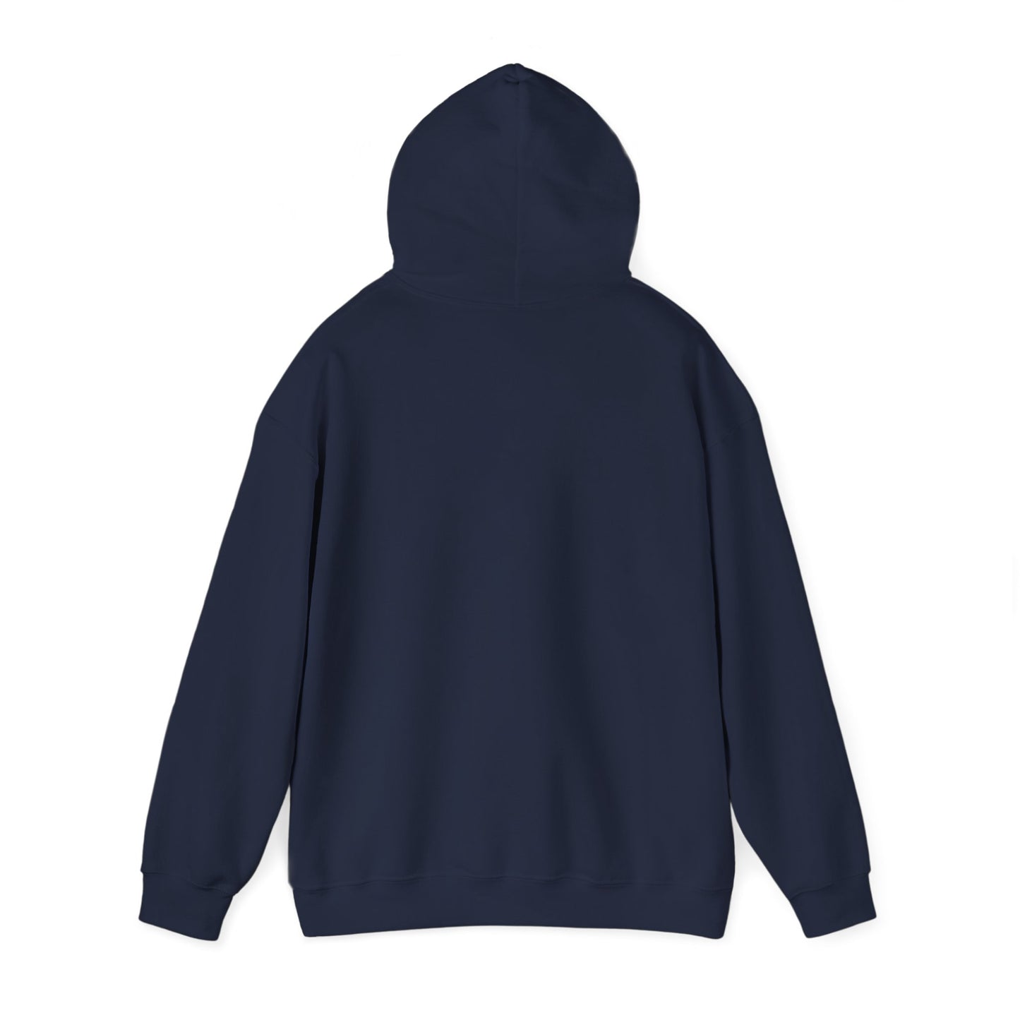 This Is Culturally Inappropriate Hoodie Statement Hoodie