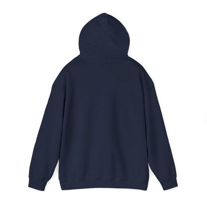This Is Culturally Inappropriate Hoodie Statement Hoodie