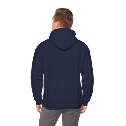This Is Culturally Inappropriate Hoodie Statement Hoodie
