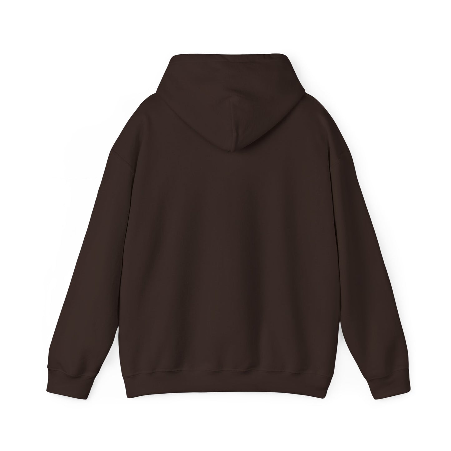 This Is Culturally Inappropriate Hoodie Statement Hoodie