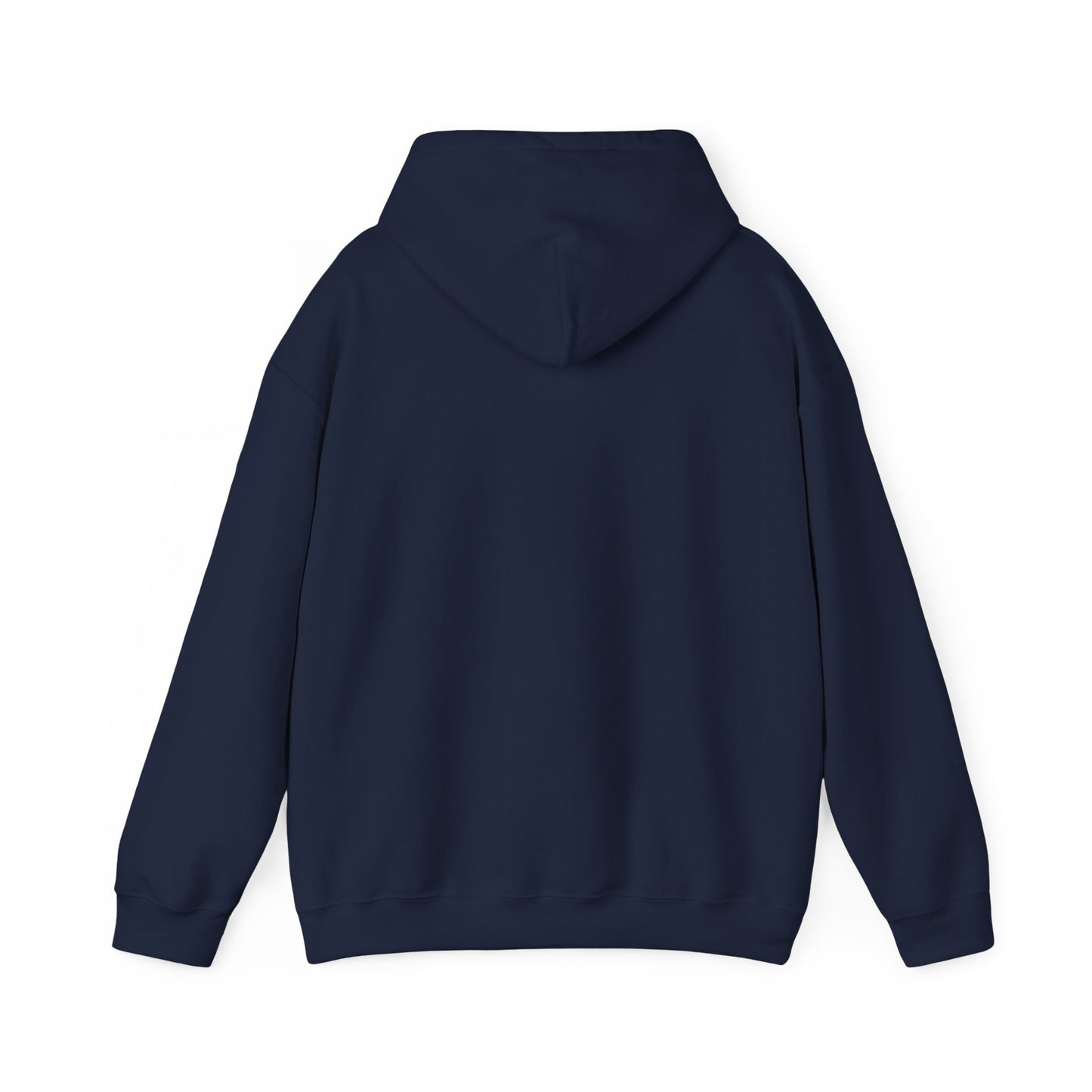 This Is Culturally Inappropriate Hoodie Statement Hoodie