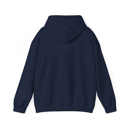 This Is Culturally Inappropriate Hoodie Statement Hoodie