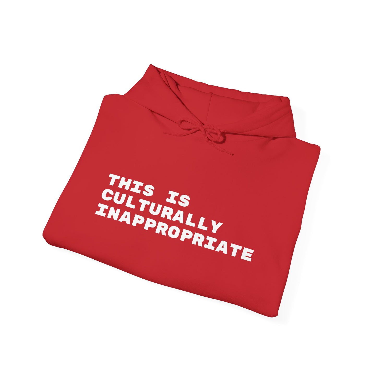 This Is Culturally Inappropriate Hoodie Statement Hoodie