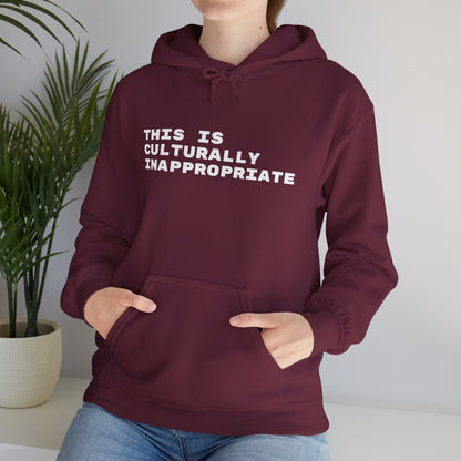 This Is Culturally Inappropriate Hoodie Statement Hoodie