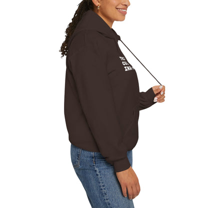 This Is Culturally Inappropriate Hoodie Statement Hoodie