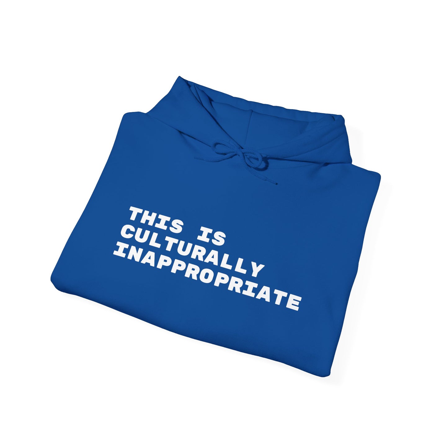 This Is Culturally Inappropriate Hoodie Statement Hoodie