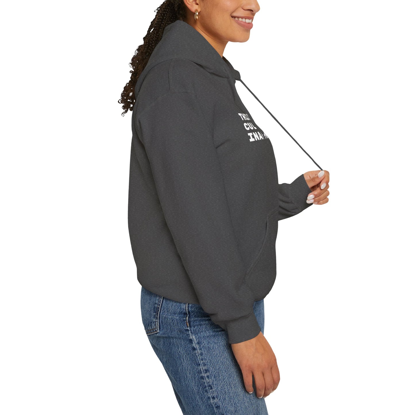 This Is Culturally Inappropriate Hoodie Statement Hoodie