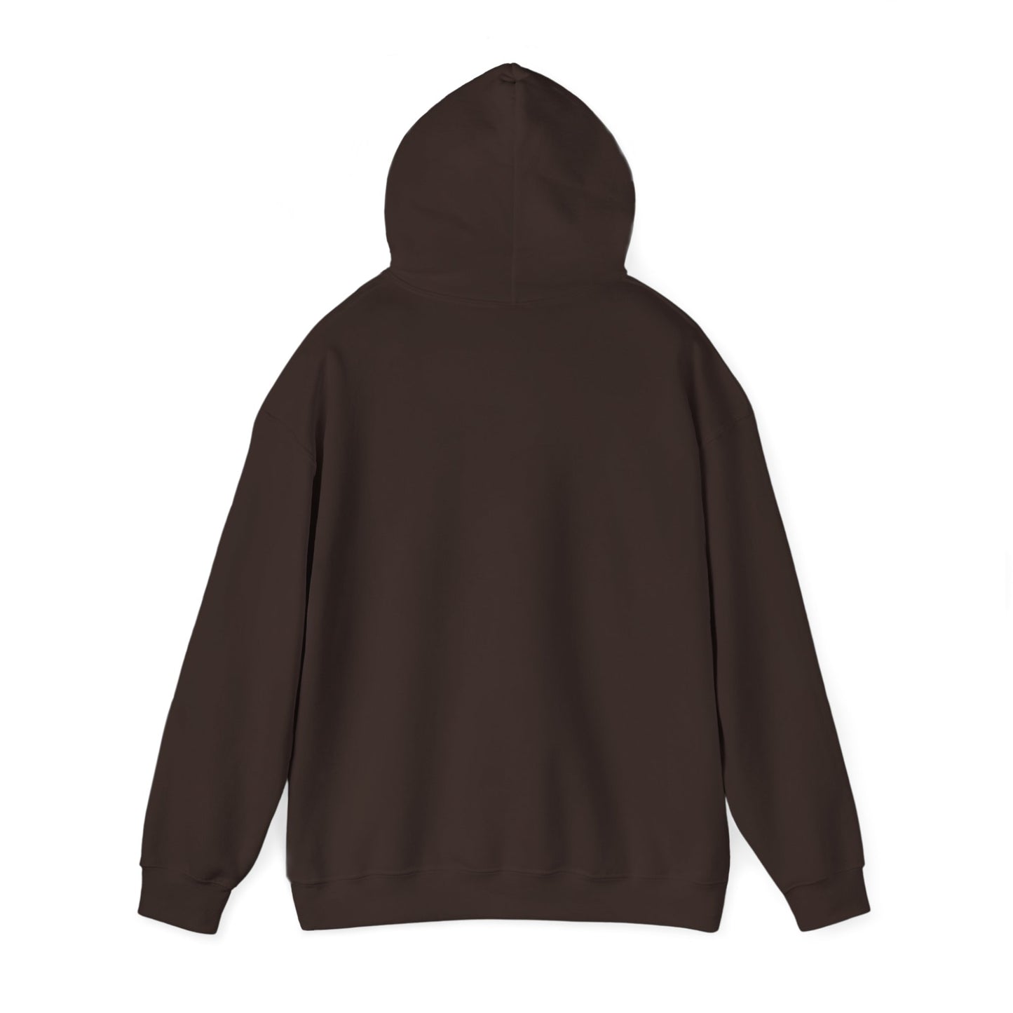This Is Culturally Inappropriate Hoodie Statement Hoodie