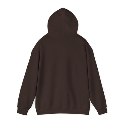 This Is Culturally Inappropriate Hoodie Statement Hoodie
