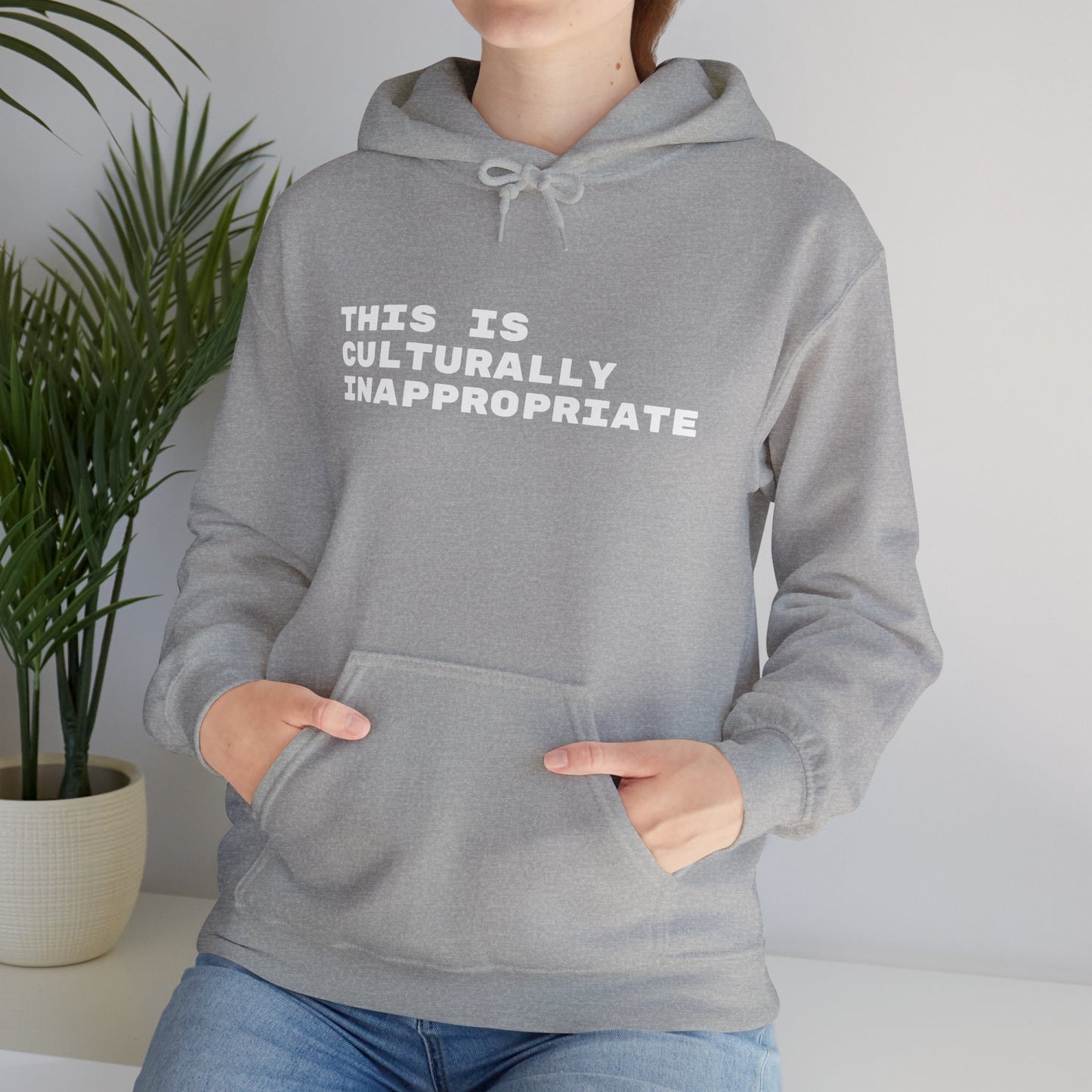 This Is Culturally Inappropriate Hoodie Statement Hoodie