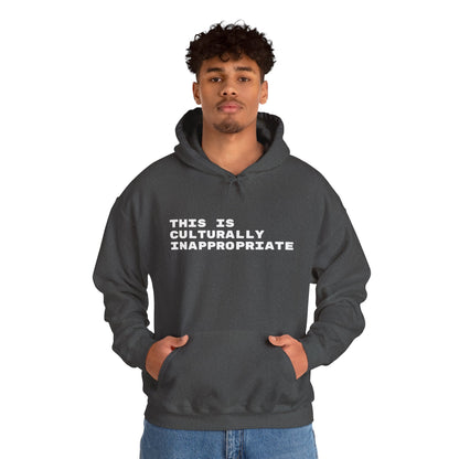 This Is Culturally Inappropriate Hoodie Statement Hoodie