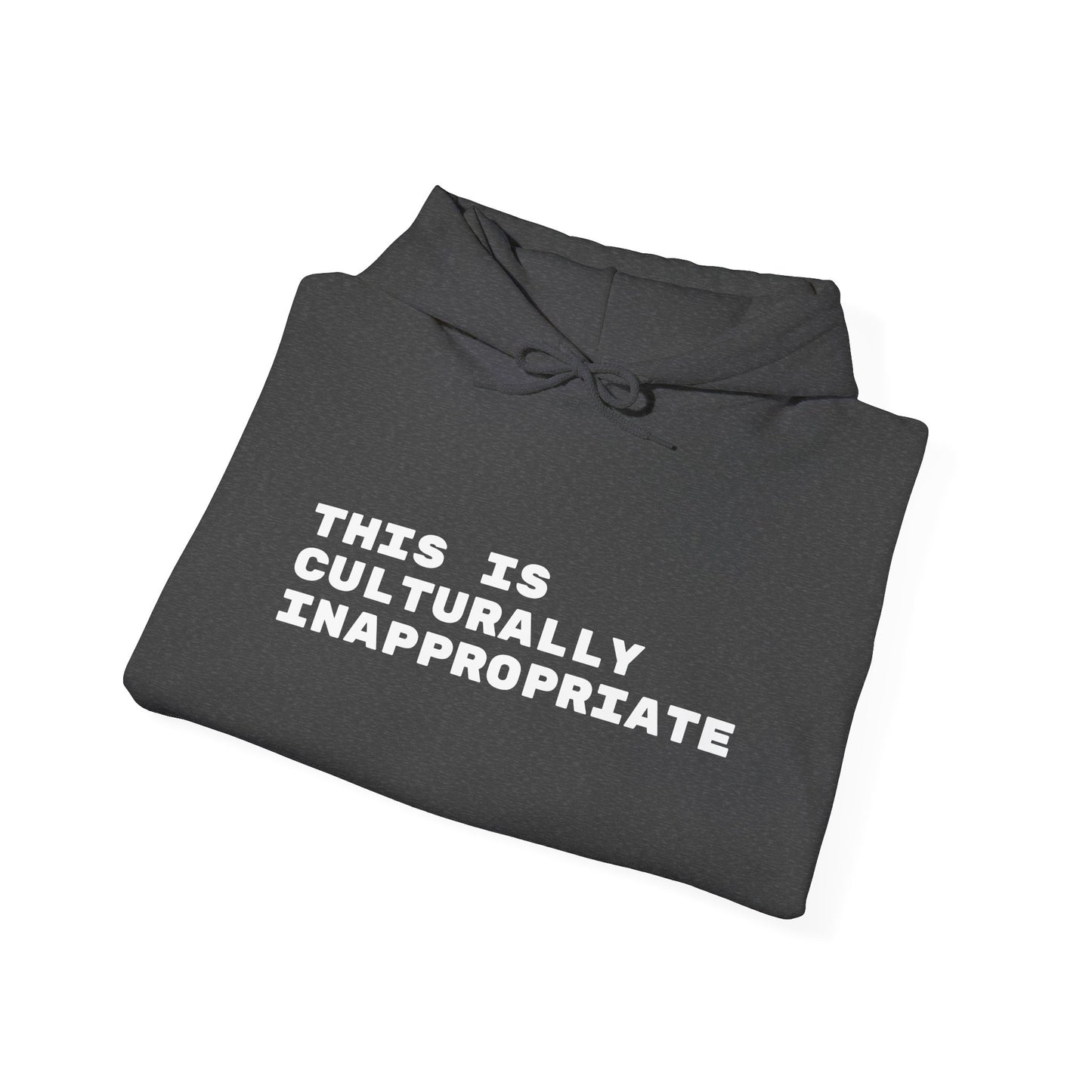 This Is Culturally Inappropriate Hoodie Statement Hoodie
