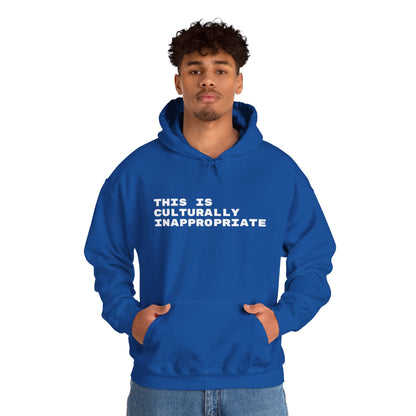 This Is Culturally Inappropriate Hoodie Statement Hoodie