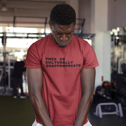 This Is Culturally Inappropriate Statement T-Shirt For Hip Hop Lovers
