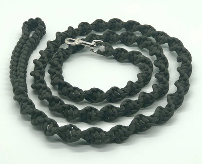 Paracord Spiral Braid Dog Leash