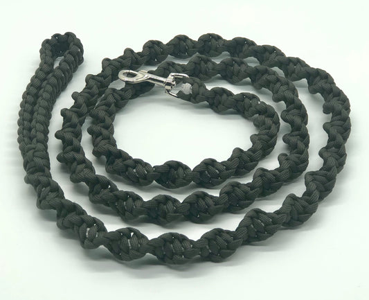Paracord Spiral Braid Dog Leash